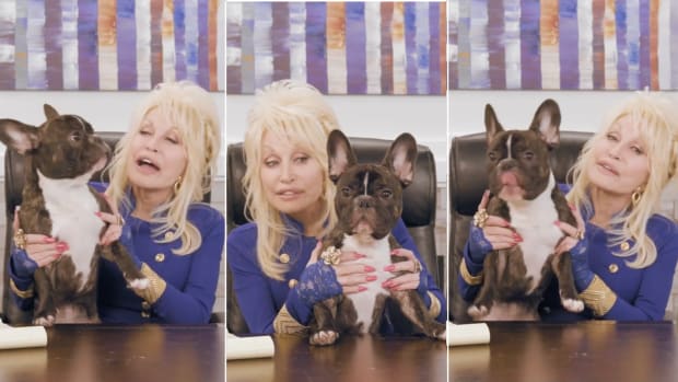 Pug Royalty 'Doug the Pug' Meets Country Legend Dolly Parton & Peak ...