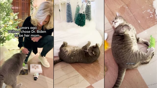 Willow the White House Cat and Dr. Jill Biden Announce New Children's ...