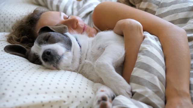 Sleeping with your dog study sale