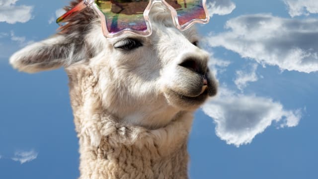 Dog store alpaca costume