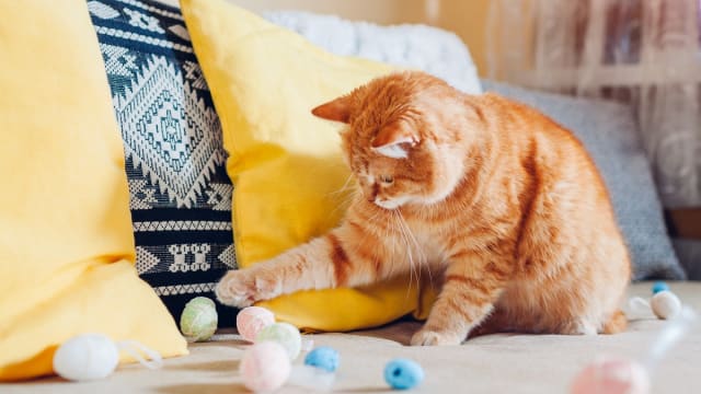 Christmas Tree Cat Scratchers Just Arrived at HomeGoods Parade Pets