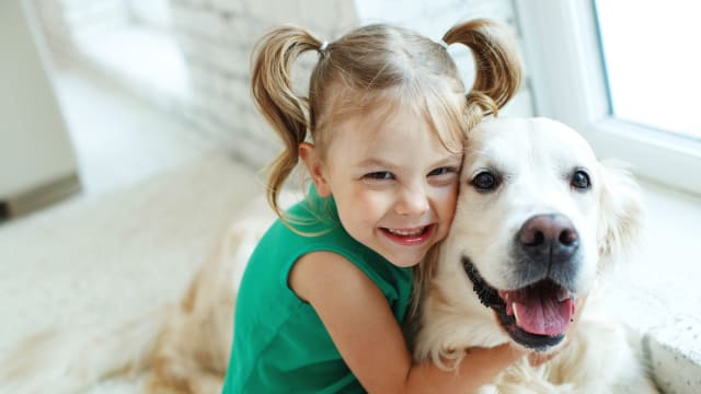 Funny dog sale and baby
