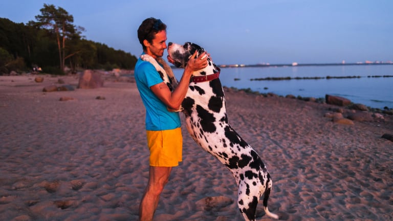 Big tall dog breeds online