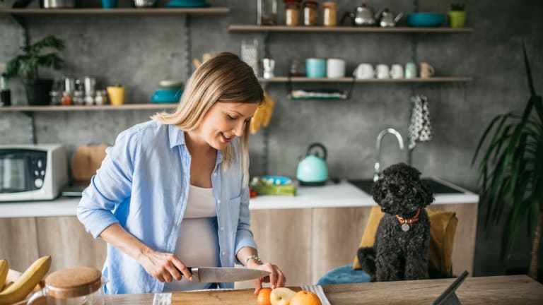 Can Dogs Eat Kiwi Parade Pets