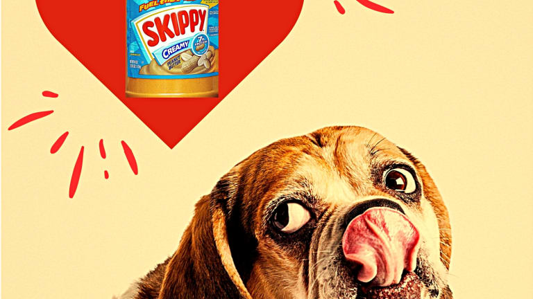 Can Dogs Eat Peanut Butter Parade Pets