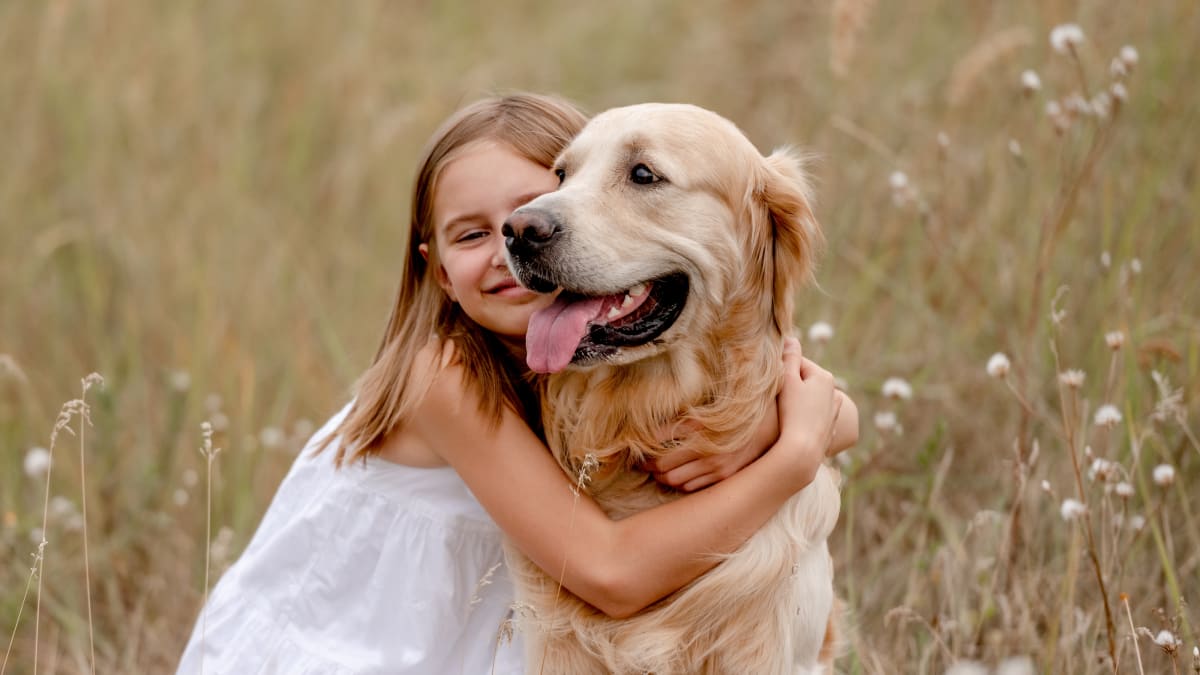 Golden retriever hot sale and girl