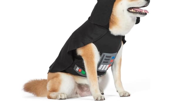10 Best Star Wars Costumes for Dogs Parade Pets