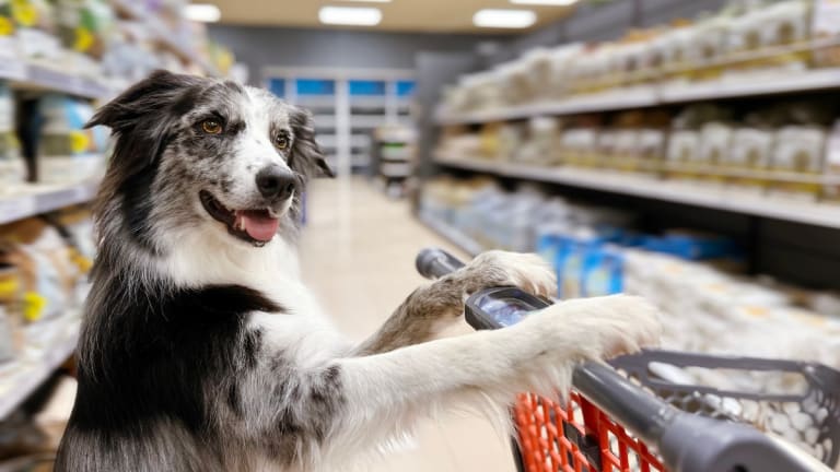 Dog friendly grocery stores shop