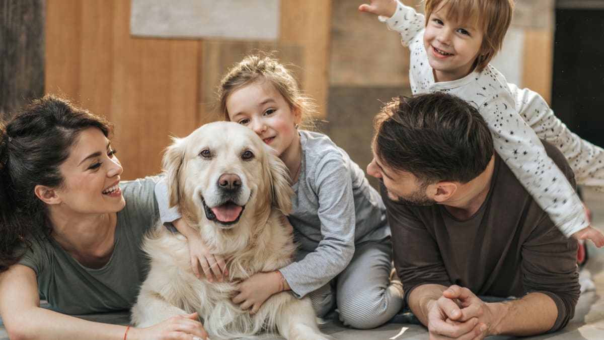 Family with puppy online