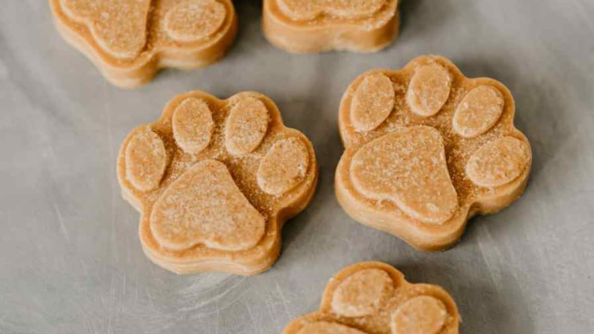 Coconut peanut butter dog treats top