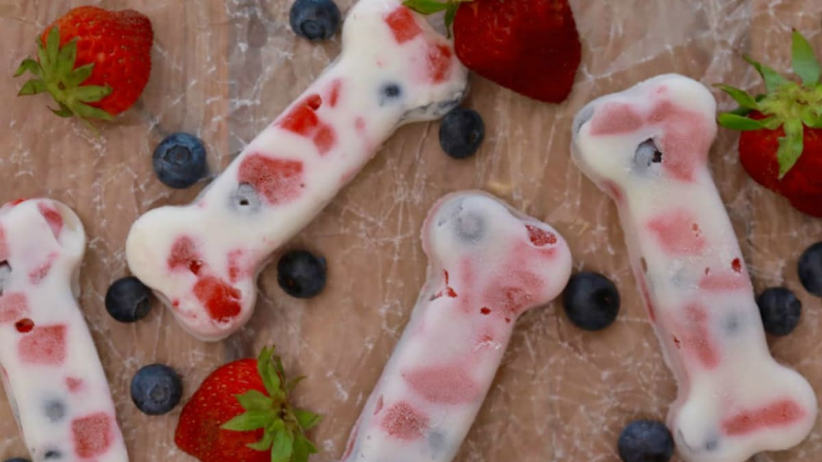 Cool treats for dogs shop in summer