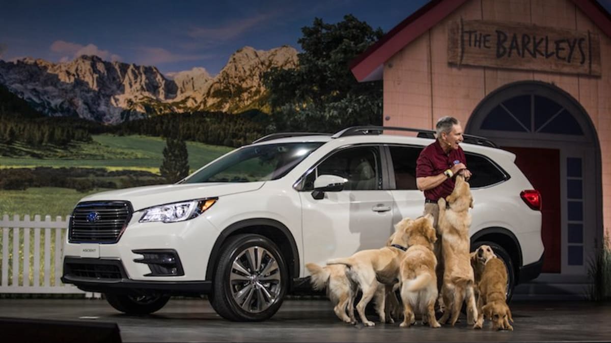 Subaru dog commercial obedience school sales