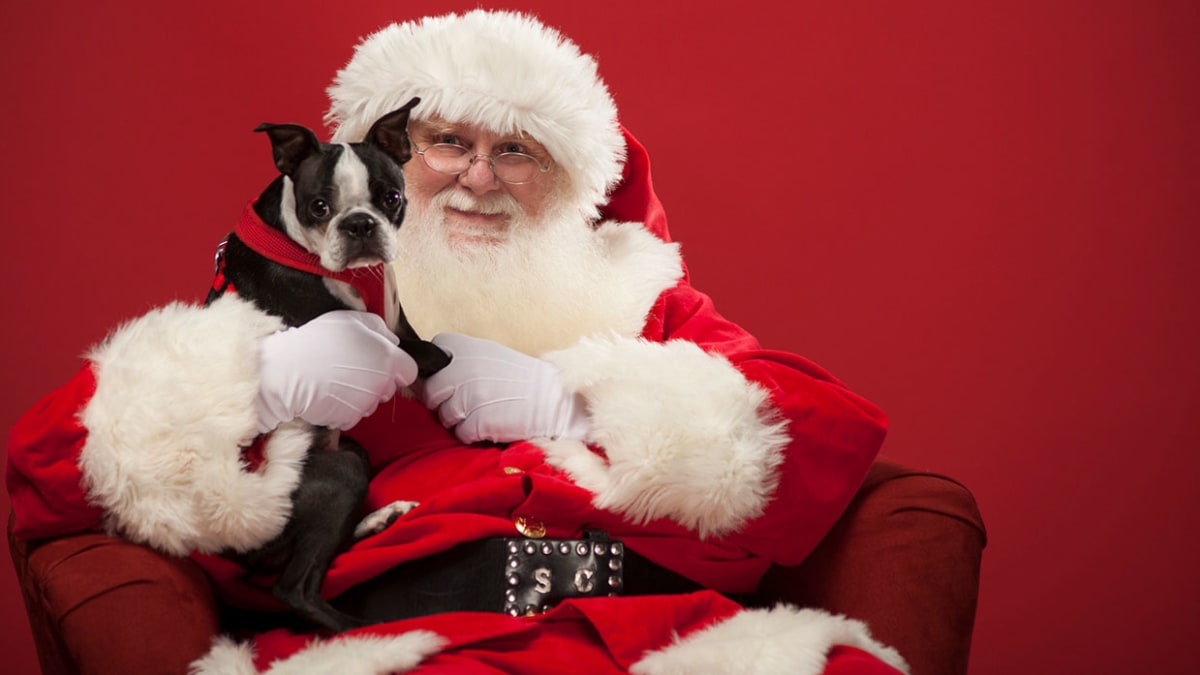 Pet supplies plus discount santa pictures 2018