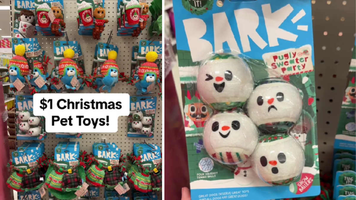 Target hotsell bark toys