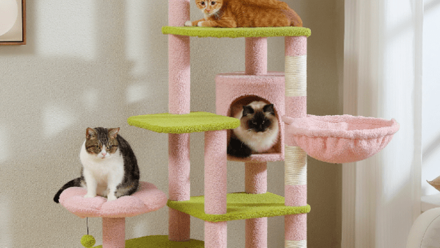 Walmart Is Selling the Prettiest Pink Cat Condo for 80 Off Parade Pets