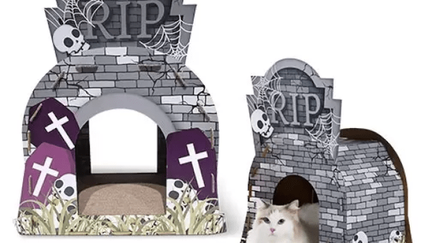 ALDI Is Dropping Halloween Cat Scratching Playhouses This Week They re Totally Epic Parade Pets