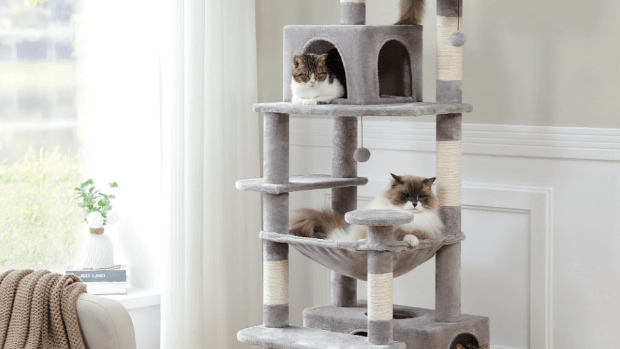 Walmart Is Selling a Popular Multi Level Cat Tree for 95 Off for Early Black Friday It ll Sell Out Fast Parade Pets