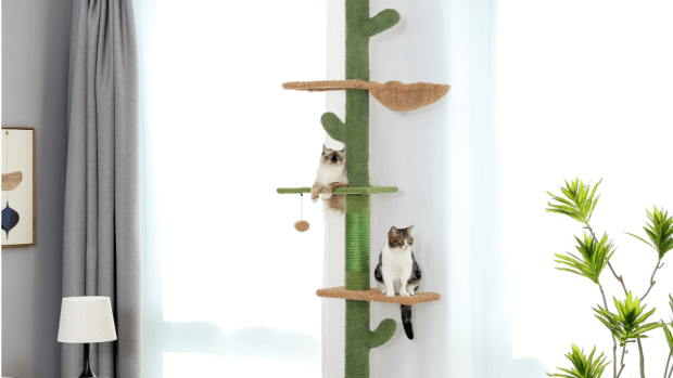 Walmart floor to ceiling cat tree hot sale