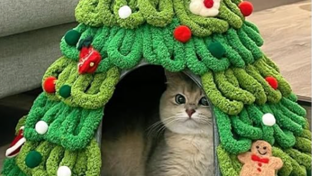 Amazon Is Selling a Christmas Tree Cat House with Snow on Top People Are Totally Obsessed Parade Pets
