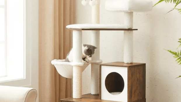 Target cat bed hotsell