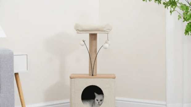 Walmart cat scratching post best sale