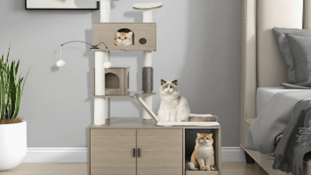 Kitty condo walmart best sale