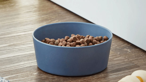 Pet barn dog bowls outlet