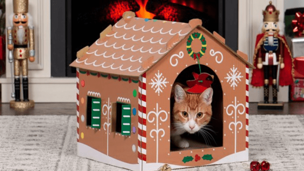 Gingerbread cats top