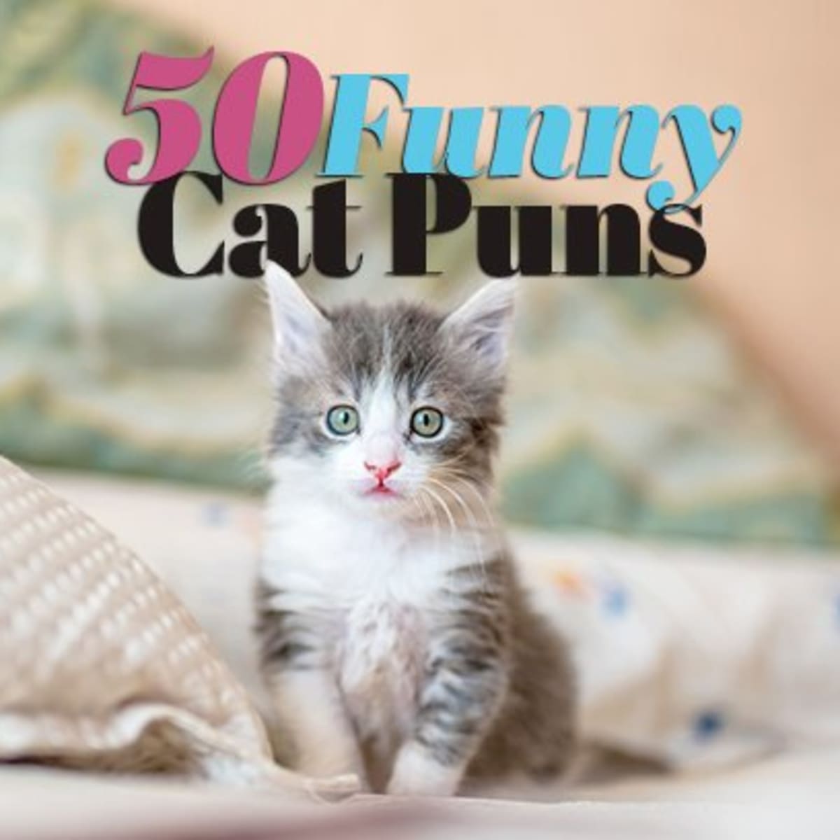 50 Cat Puns—Purr-fectly Funny Pet Puns About Cats - Parade Pets