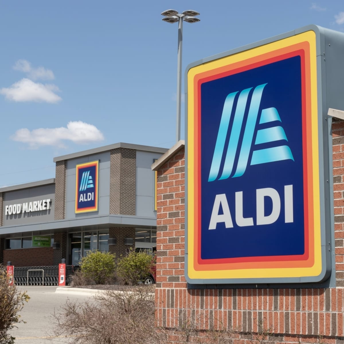 Aldi catnip toy clearance