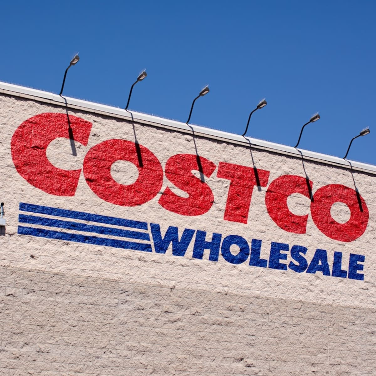 Costco s New Luxury 3 in 1 Dog Carriers Have People Running to the Store Parade Pets