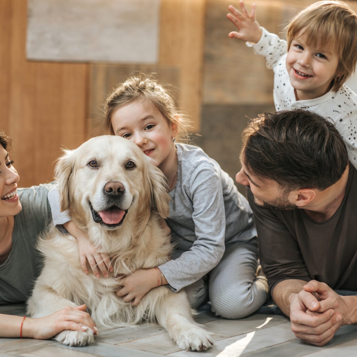 From family sale to family dog