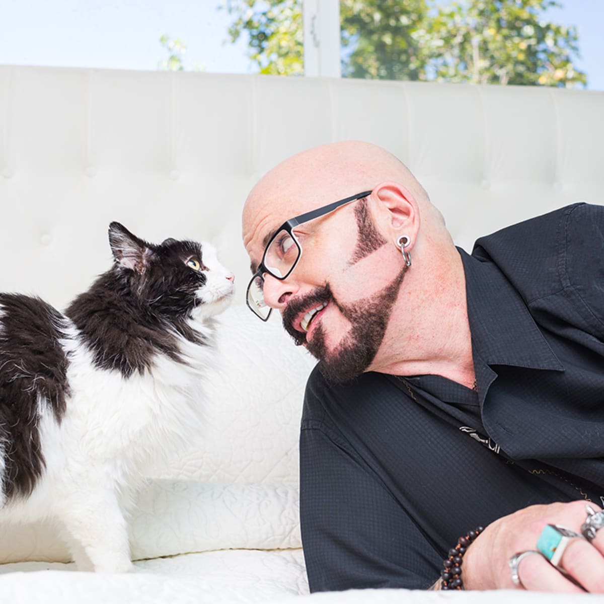 Jackson galaxy how to introduce shop two cats