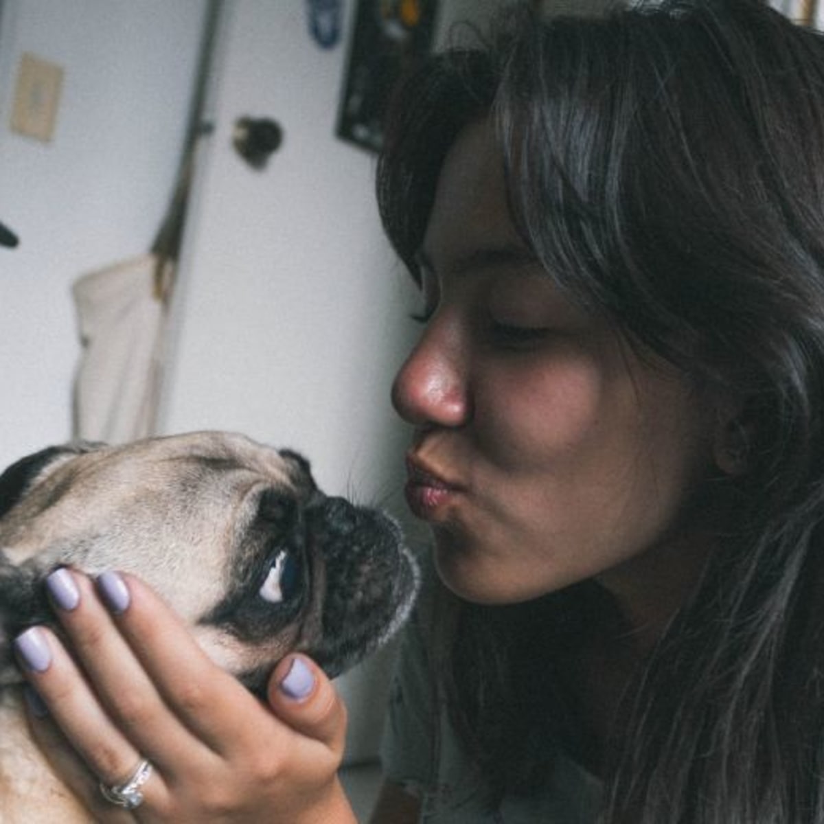 Find Your New Furry Friend Here Are the 11 Best Pet Adoption