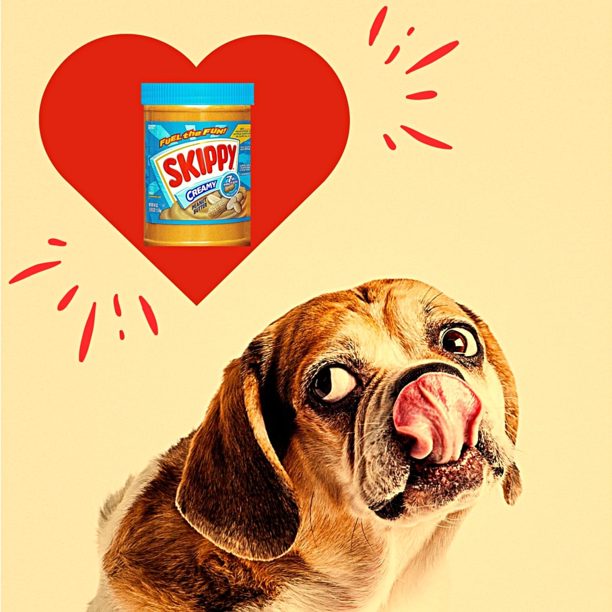 Is it bad to give dogs peanut butter store