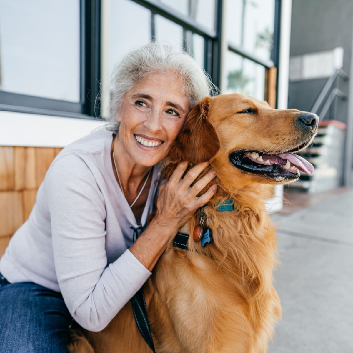 Large dog breeds for seniors clearance