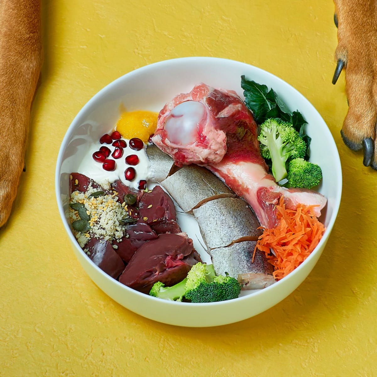 Is it better to feed sales dogs raw or cooked meat