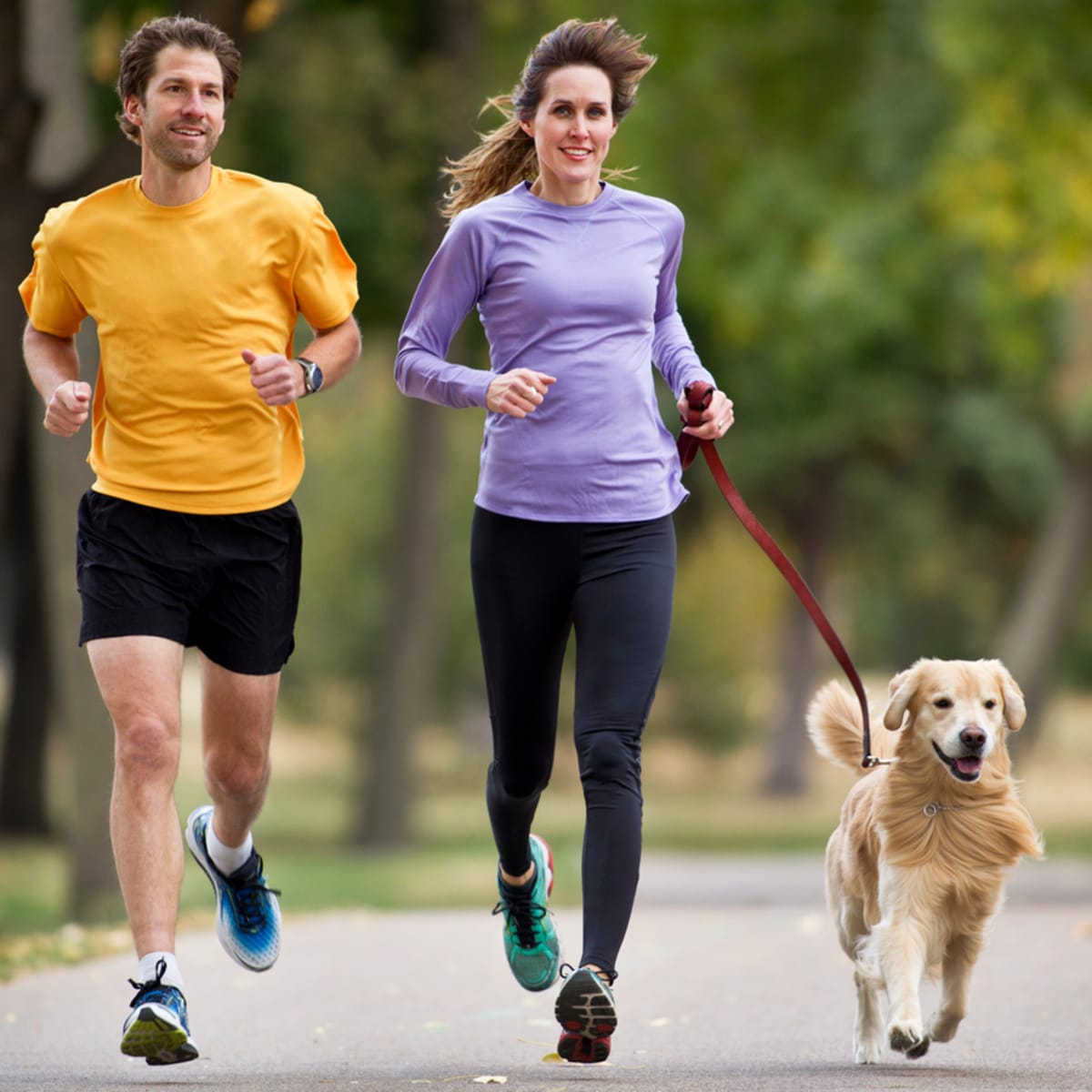 Best dogs cheap for jogging