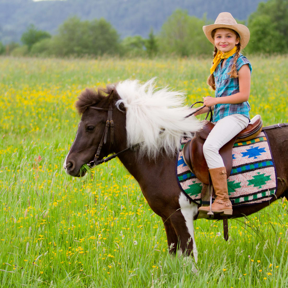 Riding little pony store