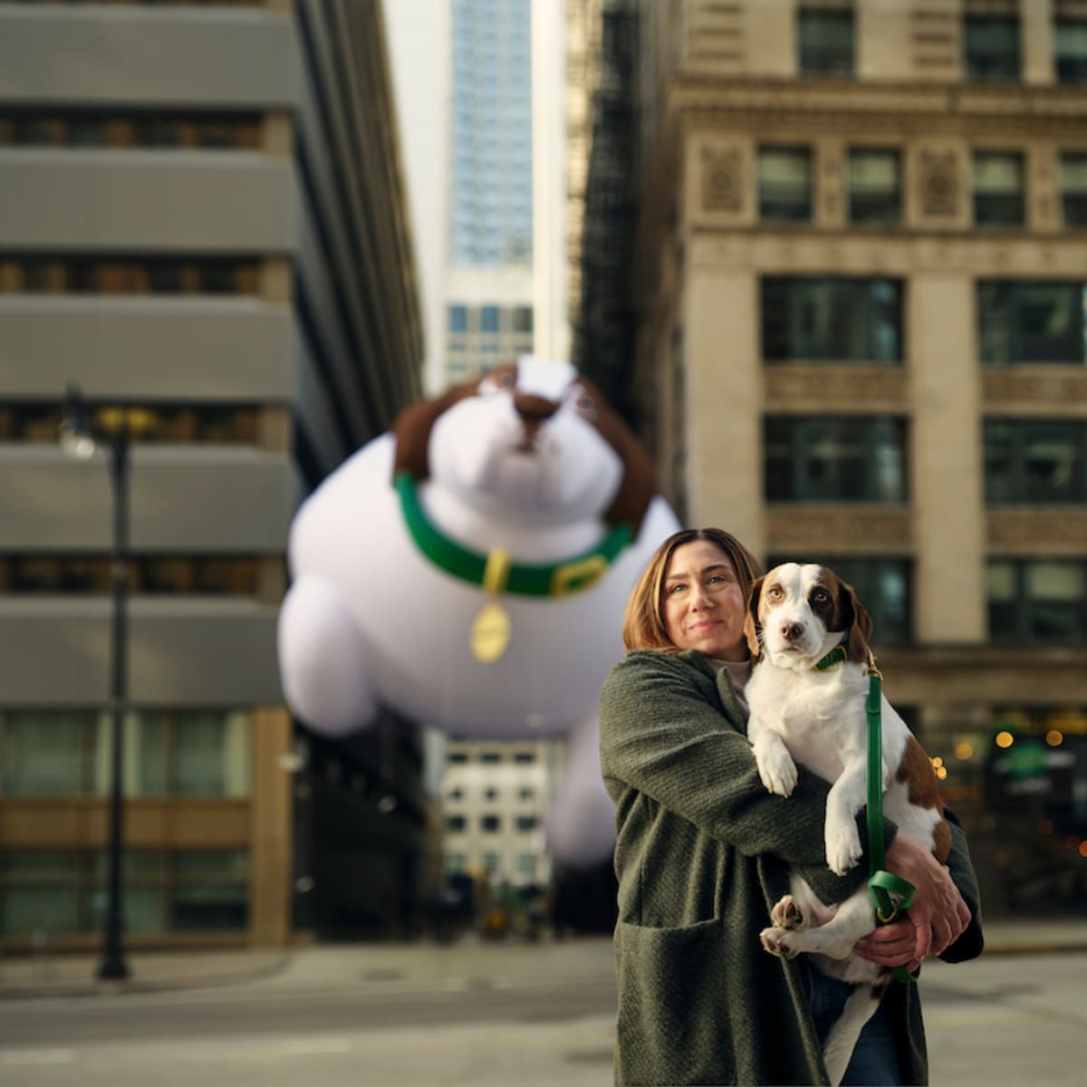 Iams weight control dog food recall 2025