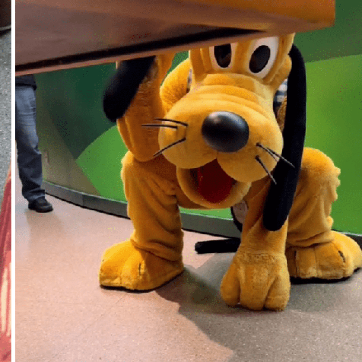 Pluto and dog sales