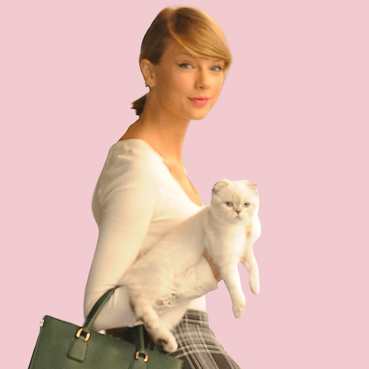 Taylor Swift's Cats: Names, Breeds, Fun Facts - Parade Pets