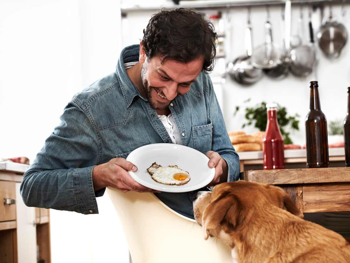 are fried eggs bad for dogs