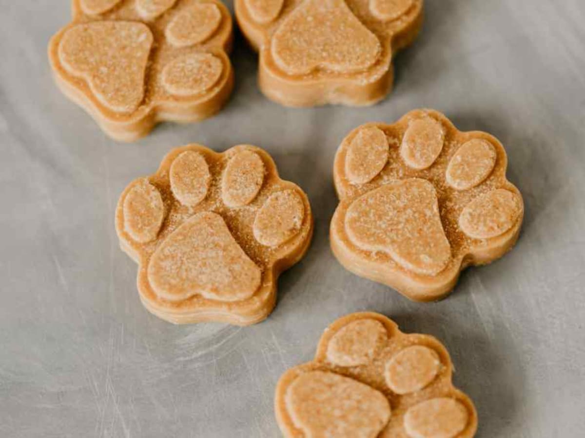 Peanut butter and coconut oil dog treats sales