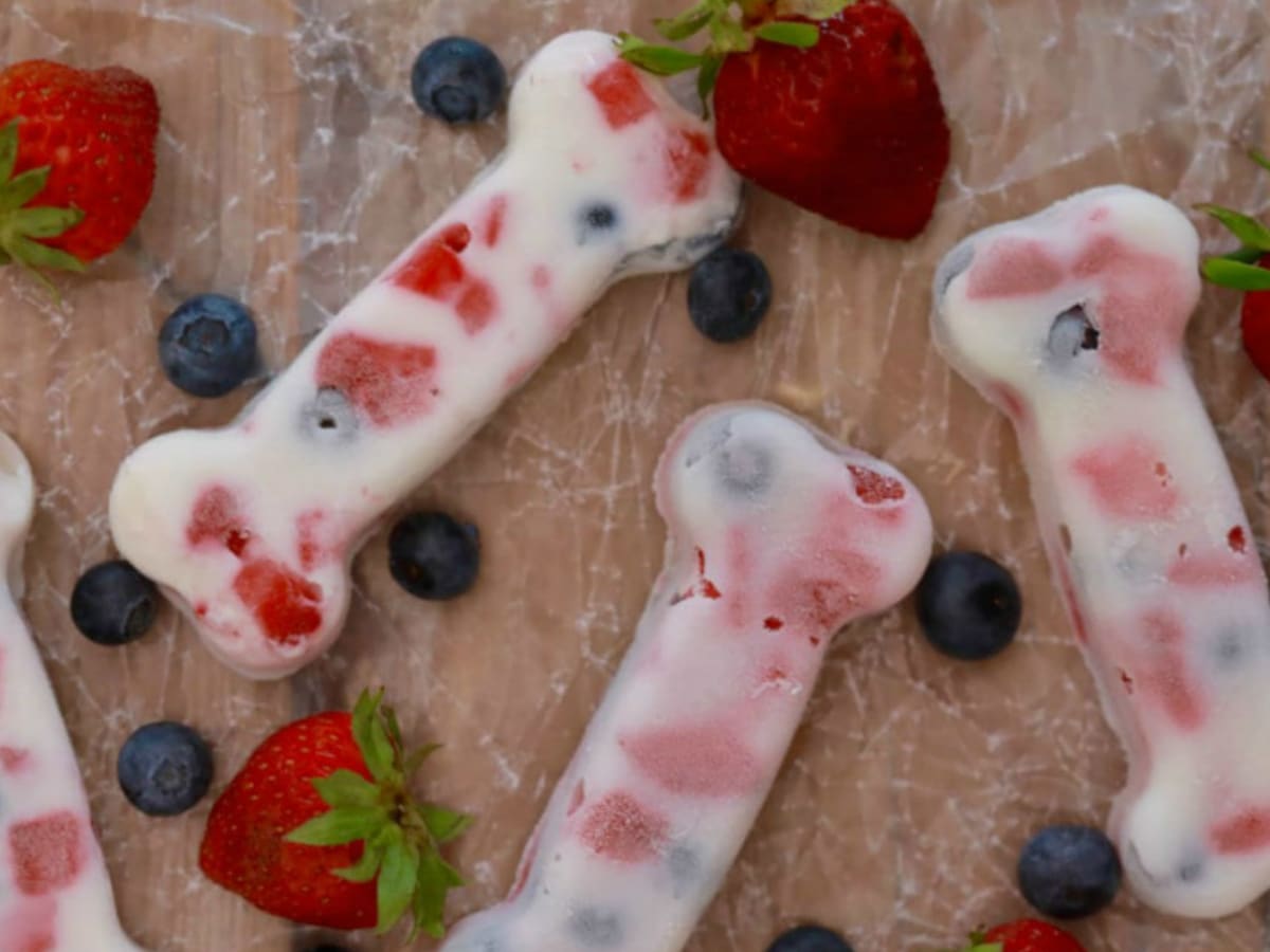 Good frozen treats for dogs discount
