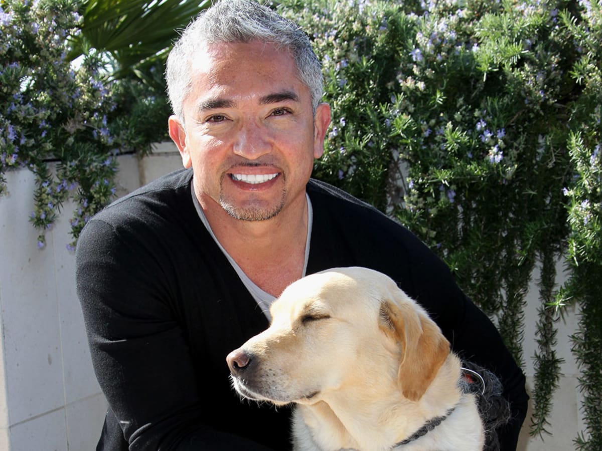 Cesar millan deals pooper scooper