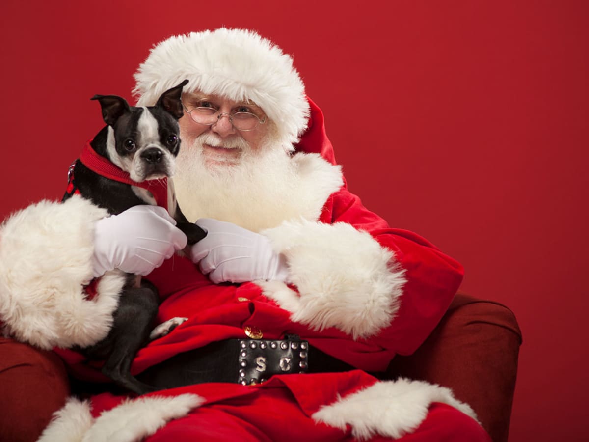 6 Places Offering Pet Photos with Santa for Holiday 2018 Parade Pets