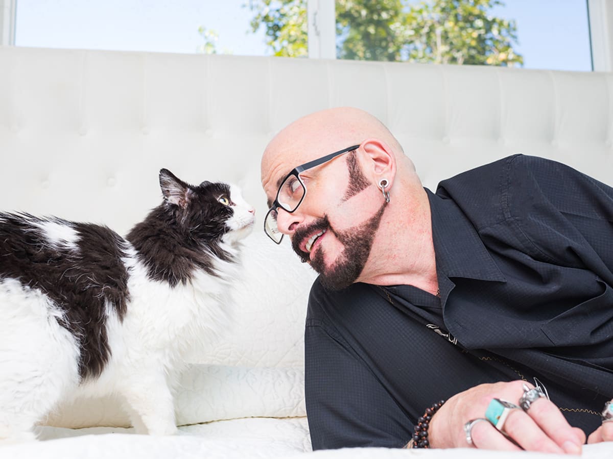 Jackson galaxy new arrivals introducing new kitten
