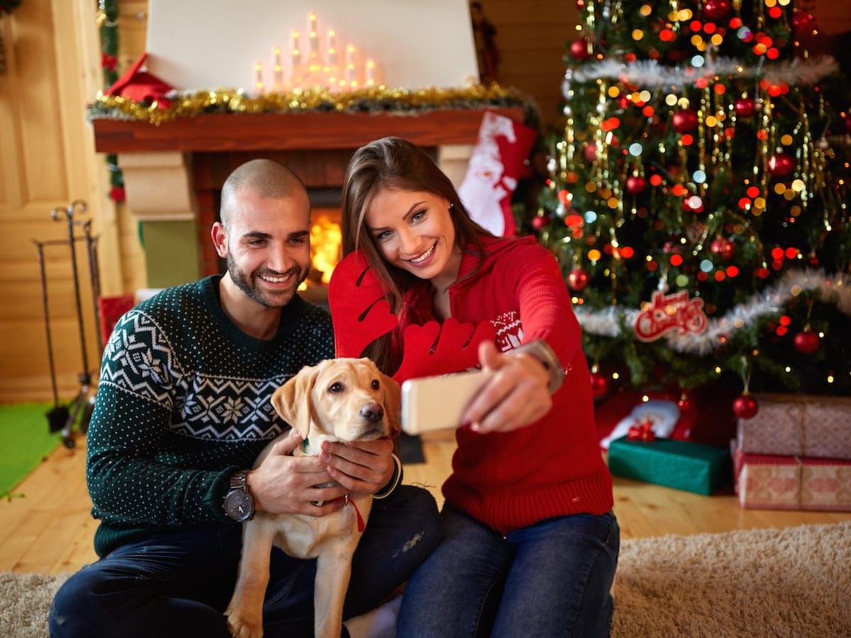 Where Can I Take My Dog for Christmas? Festive Fun for You and Your Furry Friend 11 Where Can I Take My Dog for Christmas? Festive Fun for You and Your Furry Friend