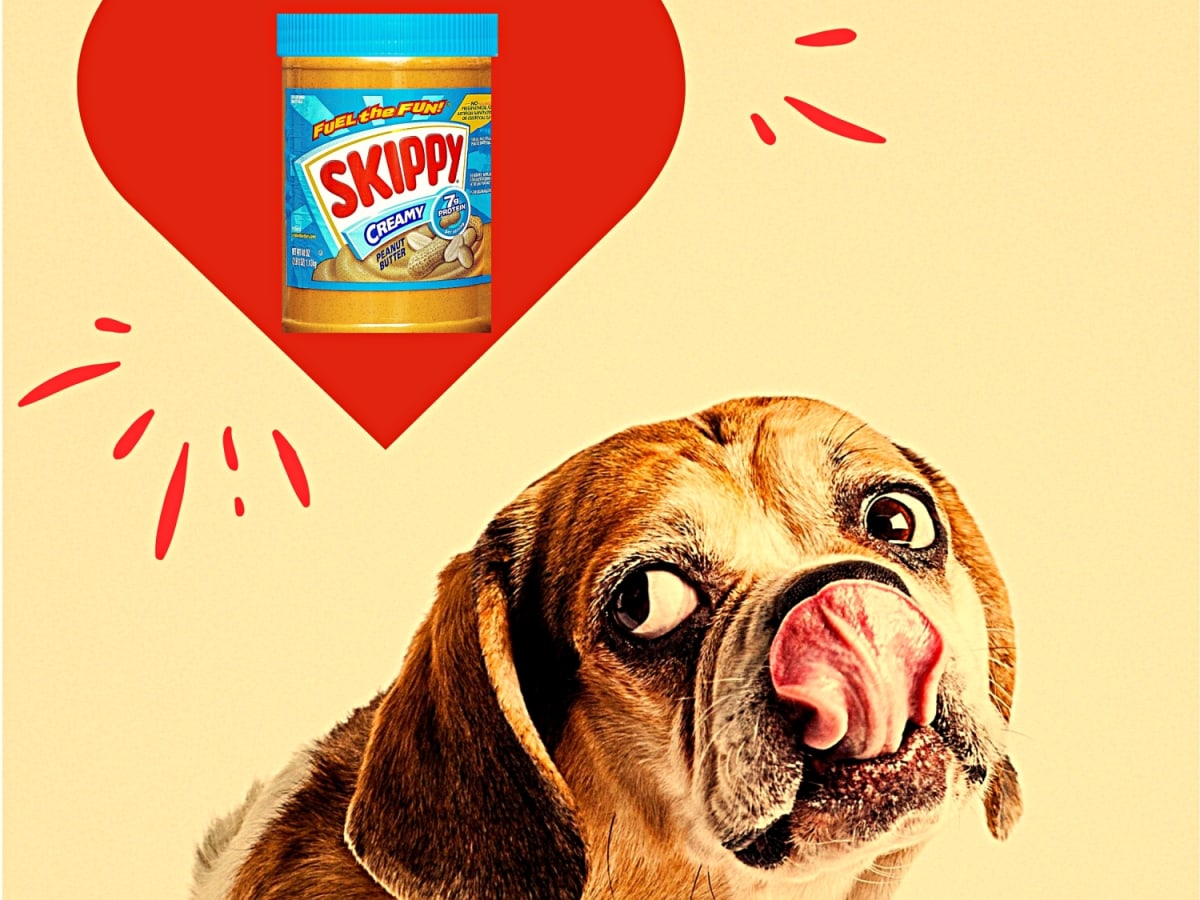 Can Dogs Eat Peanut Butter Parade Pets